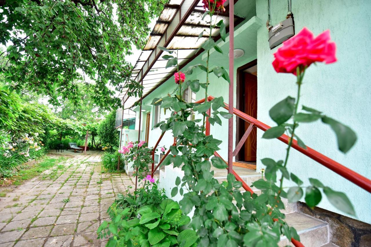 Villa Flh - House Angelique Sibiu Exterior foto